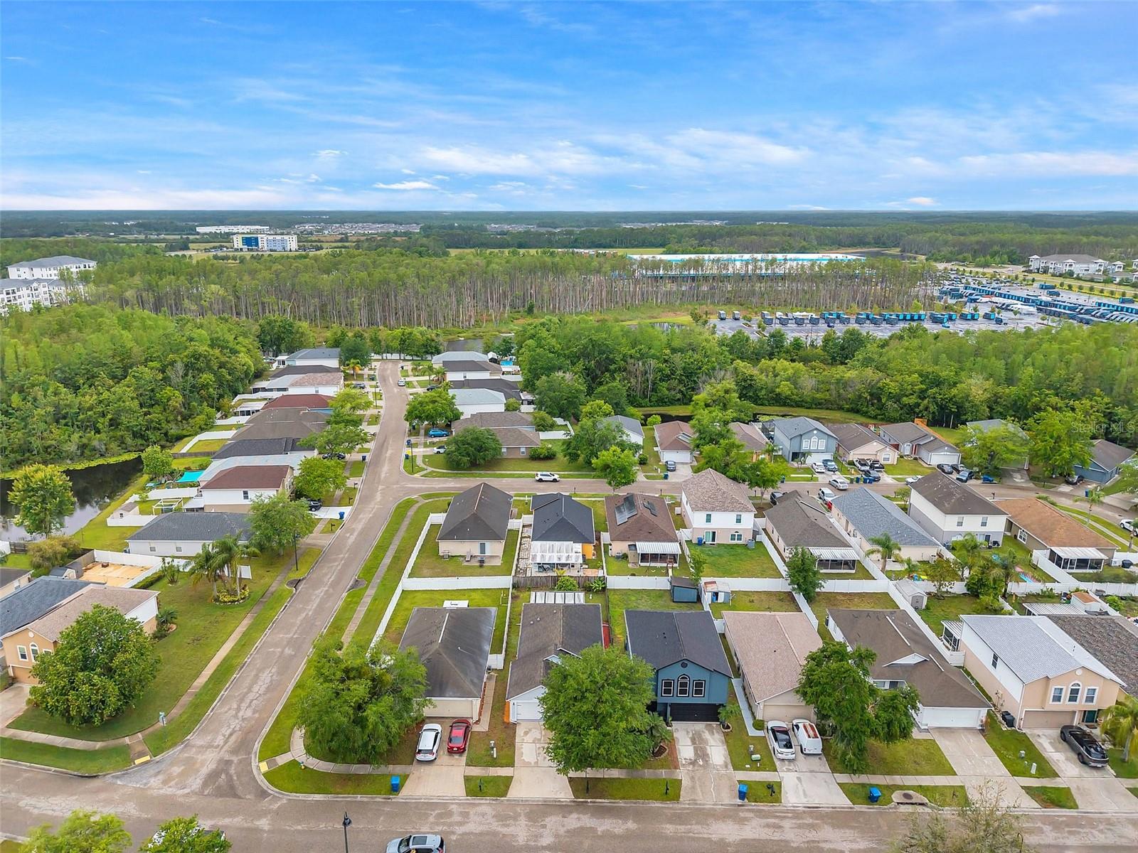 2907 MINGO DR, LAND O LAKES, FL, 34639