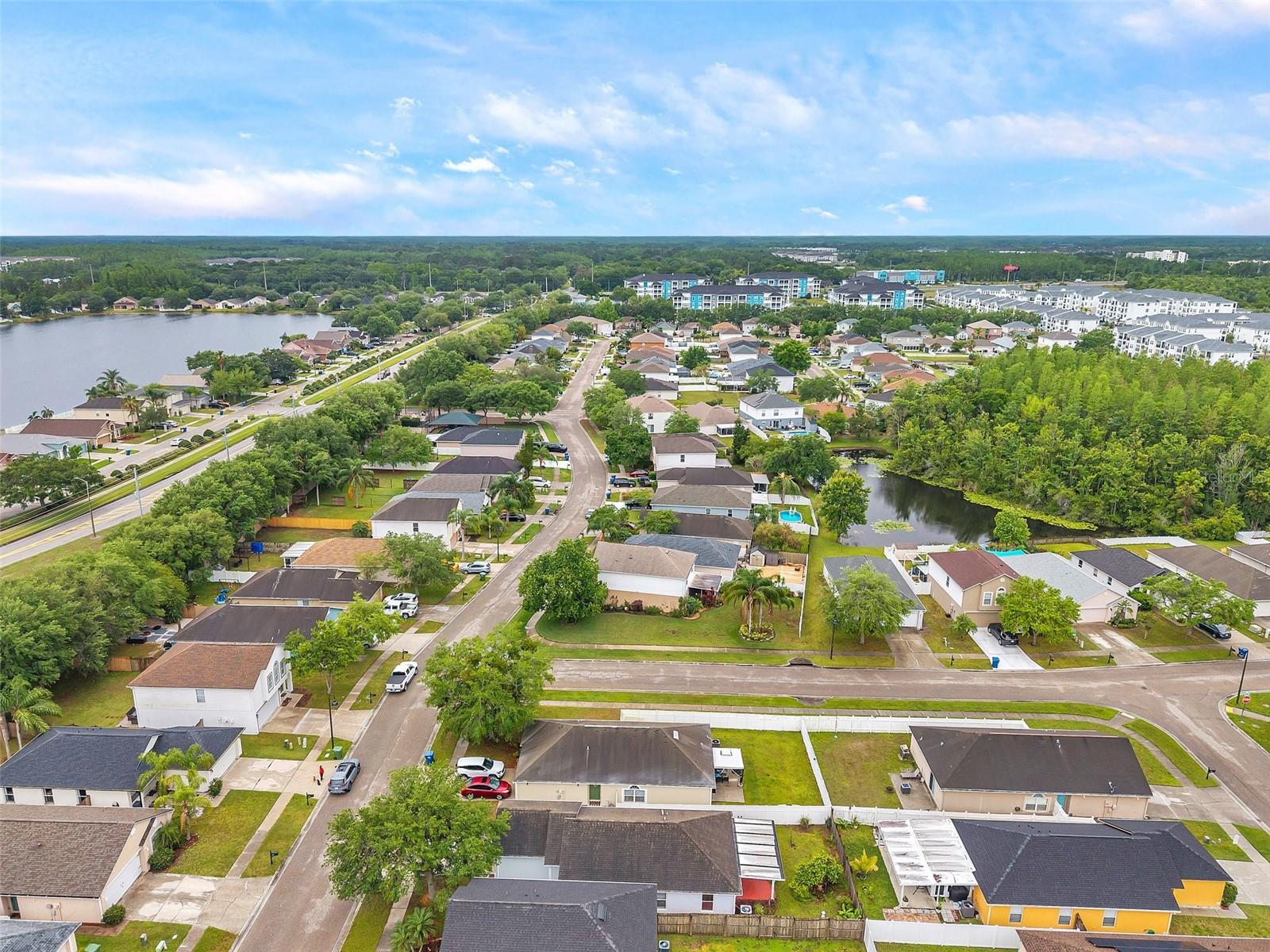 2907 MINGO DR, LAND O LAKES, FL, 34639