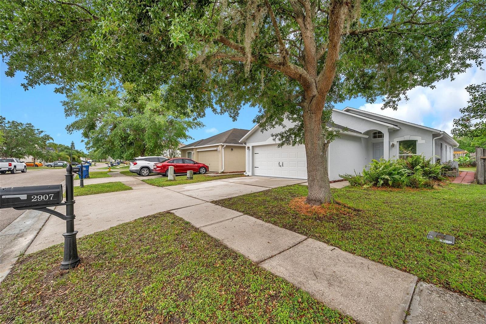 2907 MINGO DR, LAND O LAKES, FL, 34639