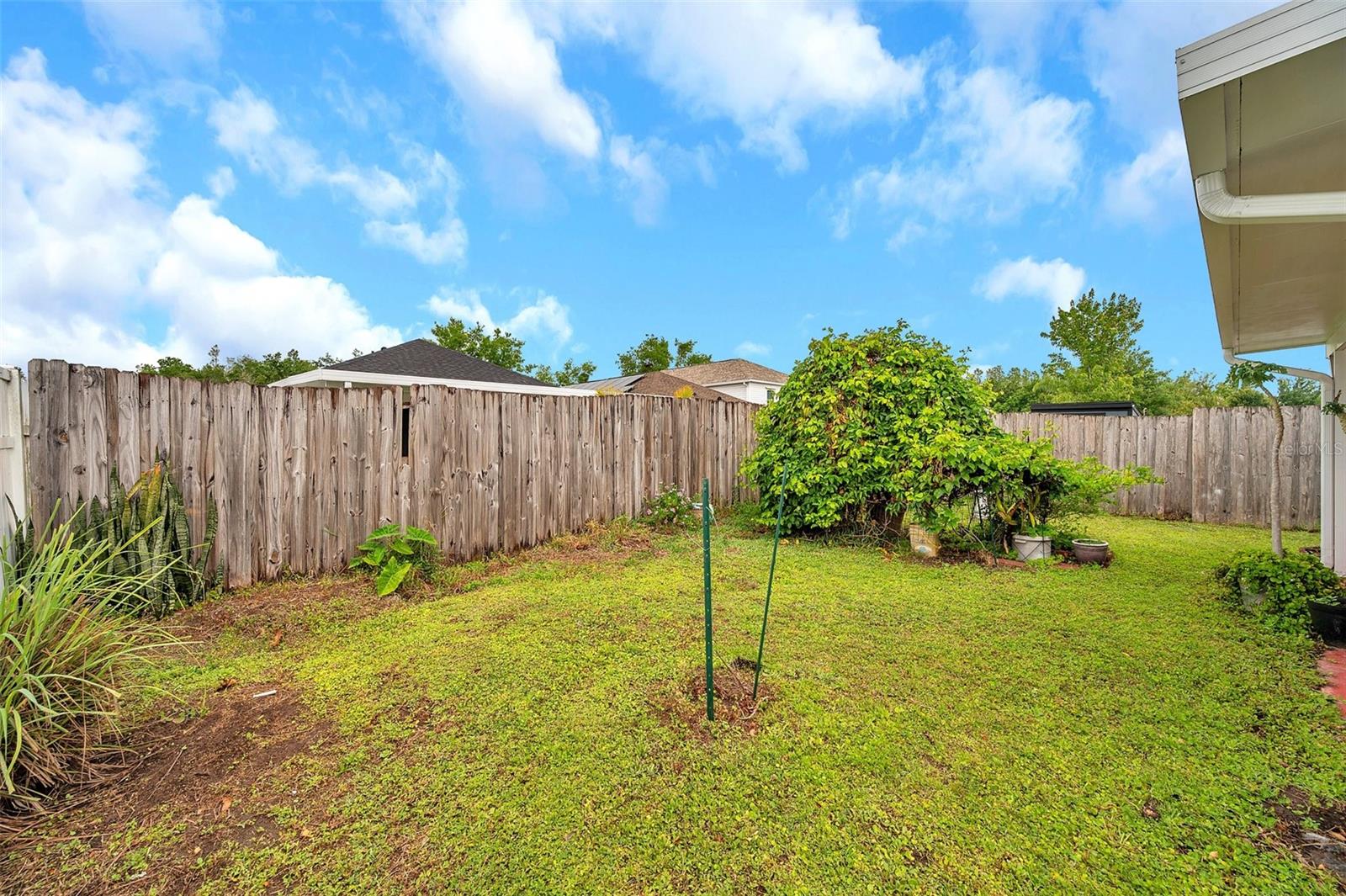 2907 MINGO DR, LAND O LAKES, FL, 34639