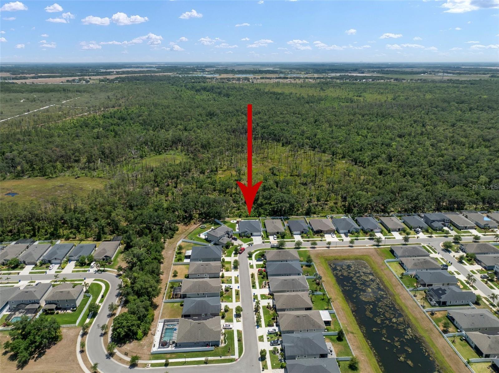 13013 SATIN LILY DR, RIVERVIEW, FL, 33579