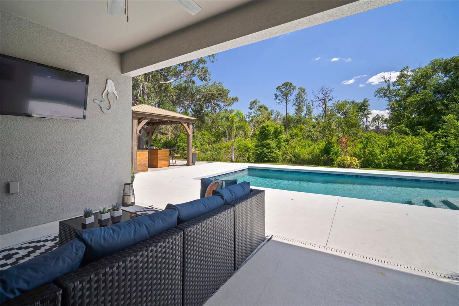 13013 SATIN LILY DR, RIVERVIEW, FL, 33579