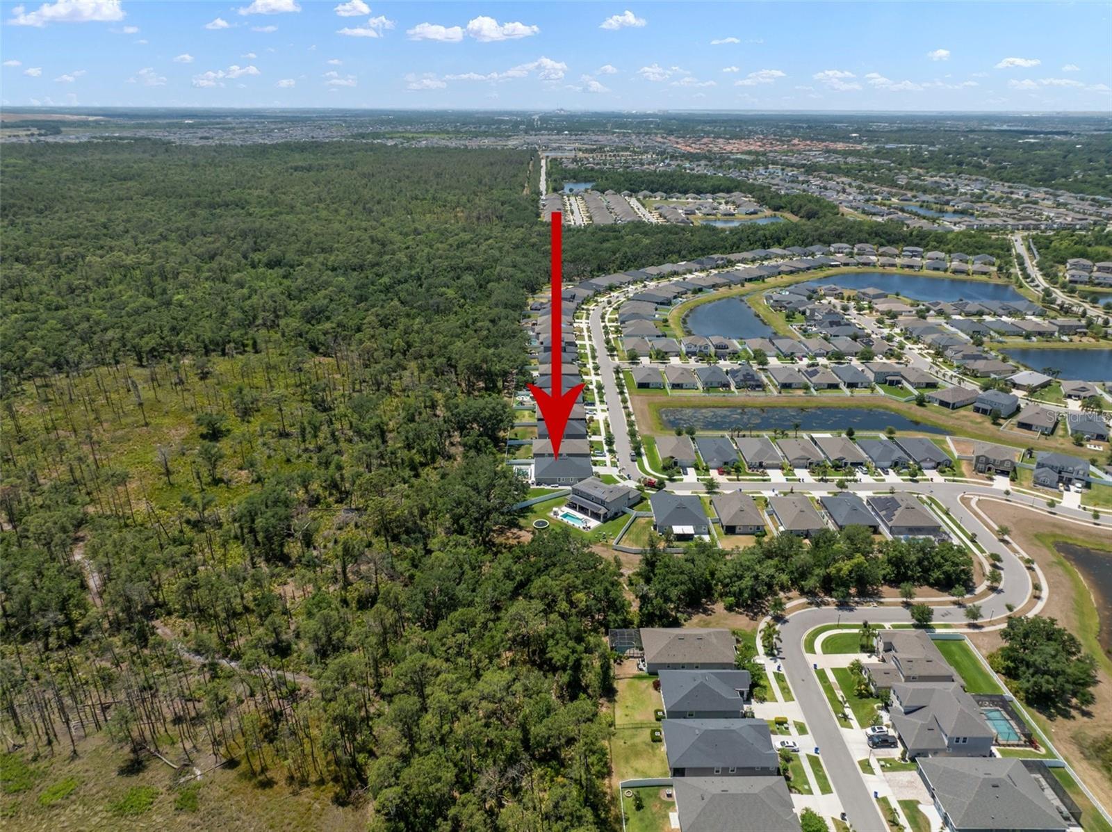 13013 SATIN LILY DR, RIVERVIEW, FL, 33579