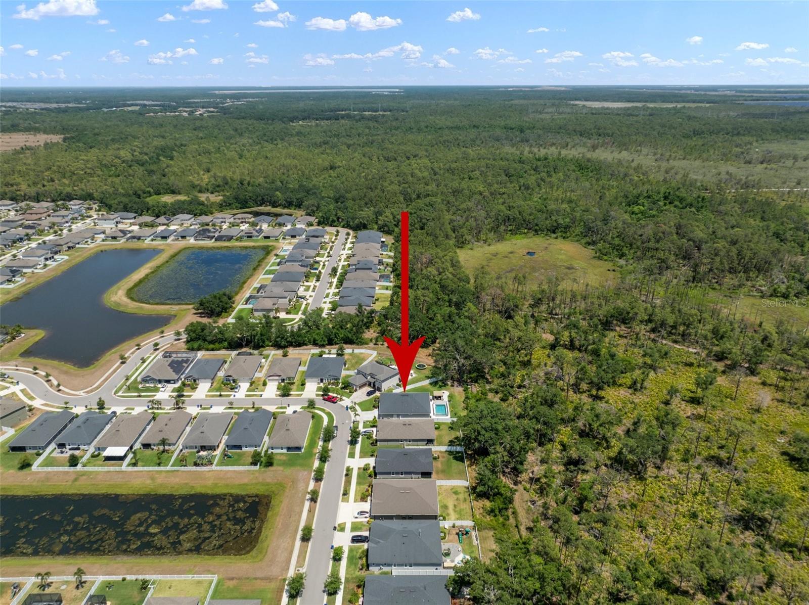 13013 SATIN LILY DR, RIVERVIEW, FL, 33579