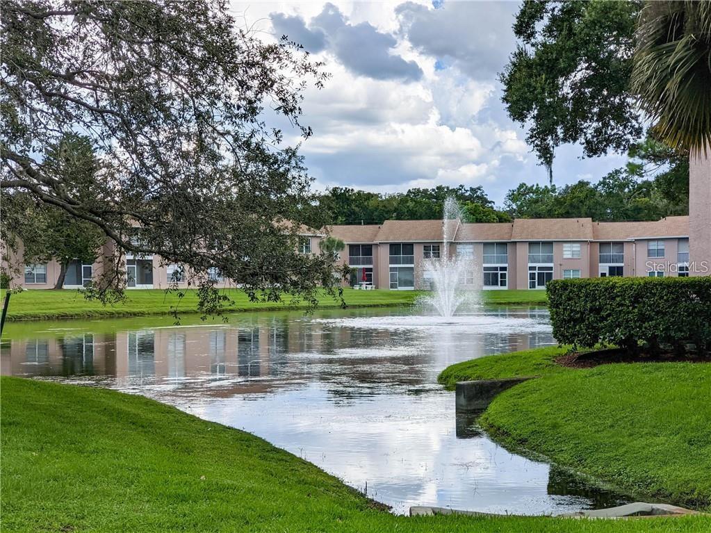 6410 SPRING FLOWER DR #26, NEW PORT RICHEY, FL, 34653