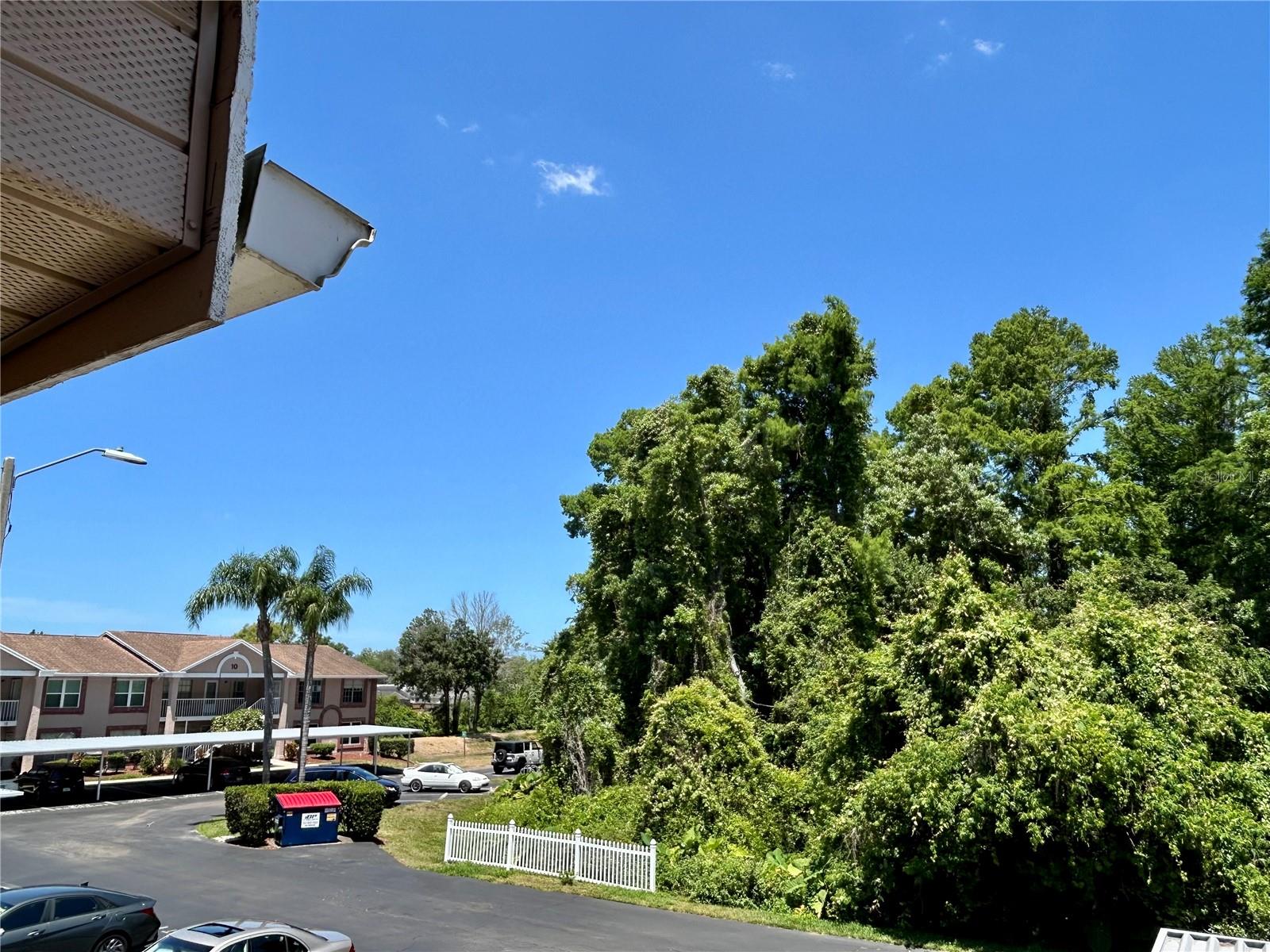 6410 SPRING FLOWER DR #26, NEW PORT RICHEY, FL, 34653