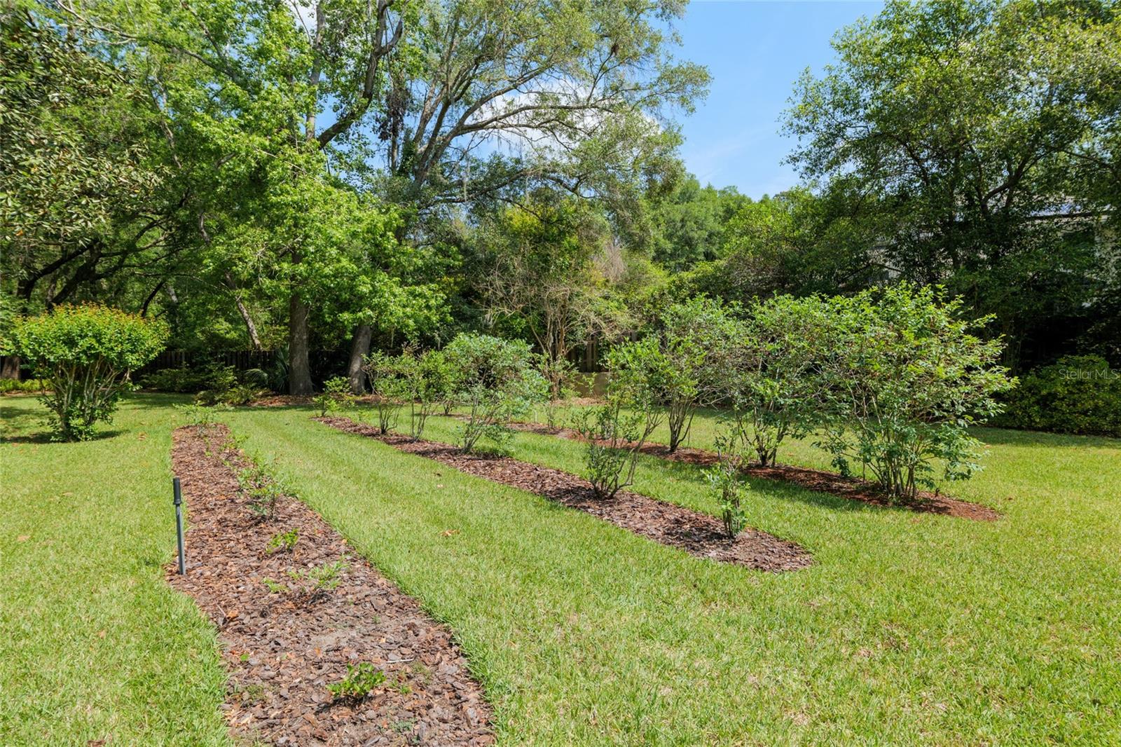 3116 NW 62ND TER, GAINESVILLE, FL, 32606