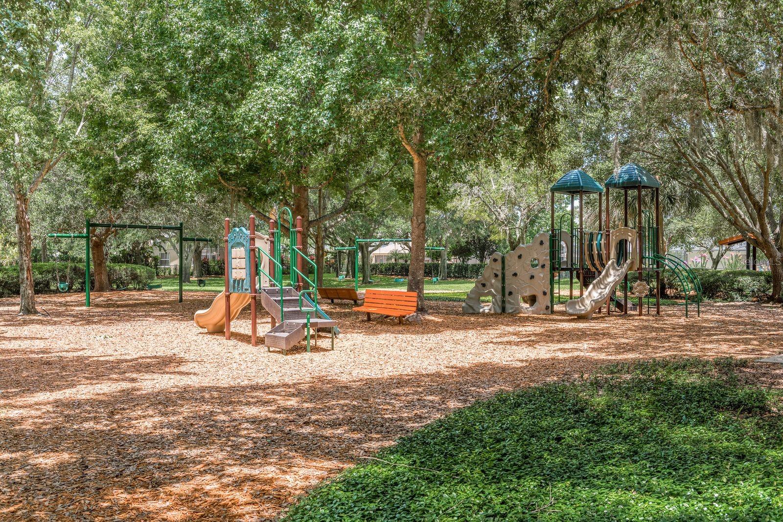 1810 WINSLOE DR, TRINITY, FL, 34655