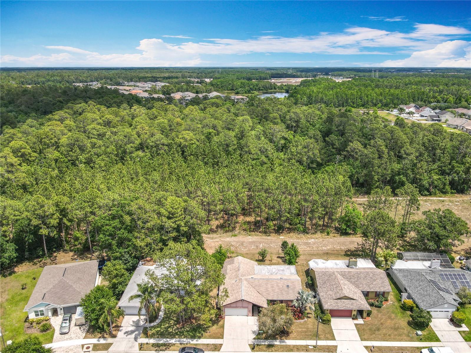 3932 WATSON DR, NEW PORT RICHEY, FL, 34655