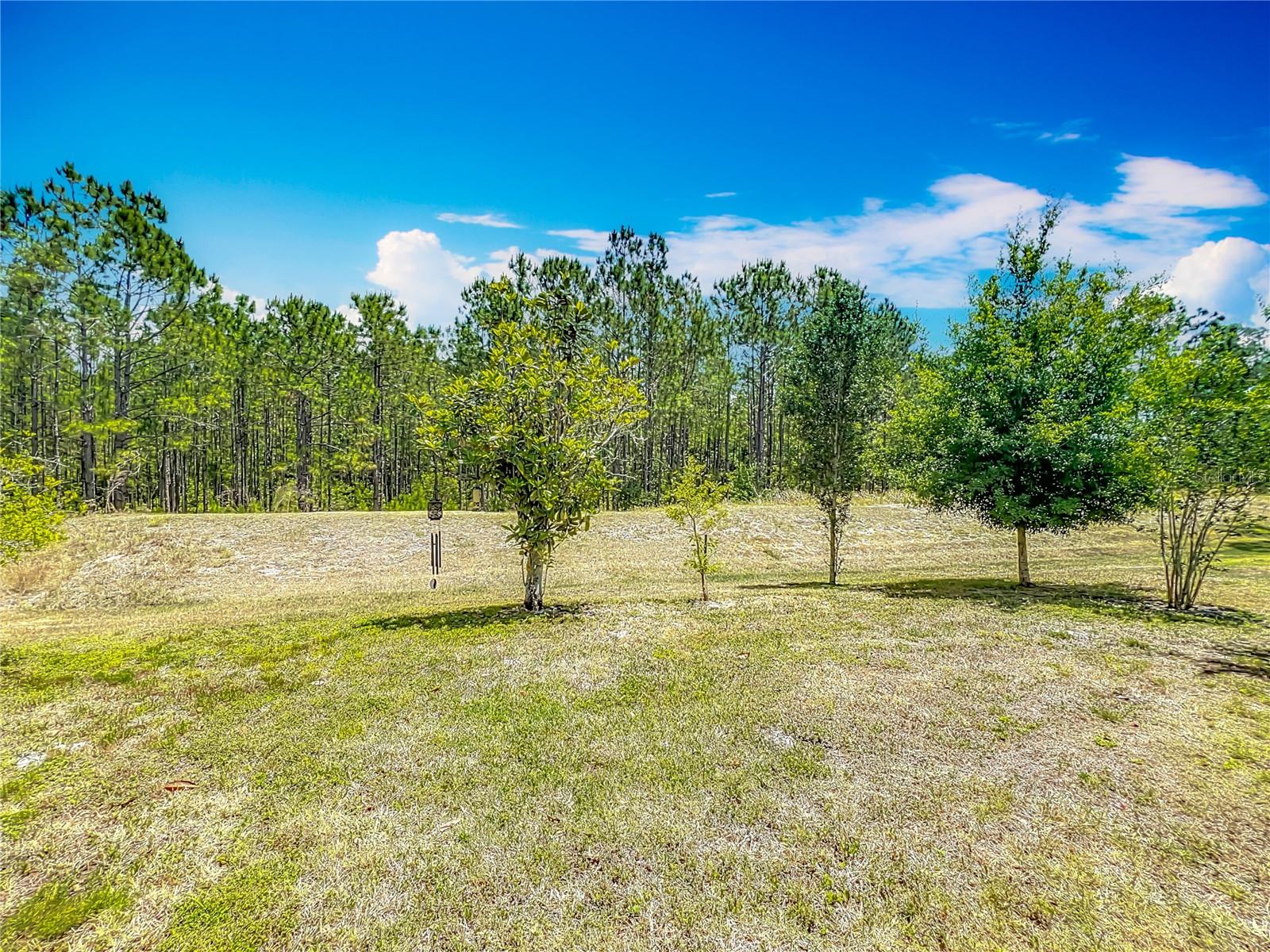 3932 WATSON DR, NEW PORT RICHEY, FL, 34655