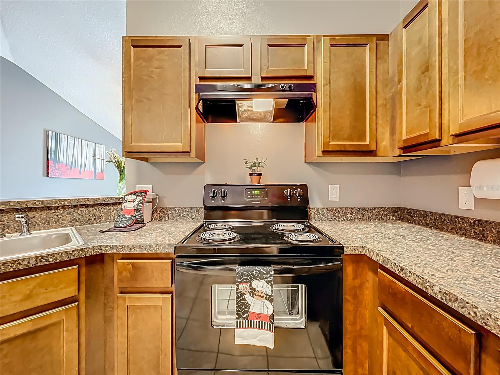 119 STEWART LAKE LOOP, GROVELAND, FL, 34736