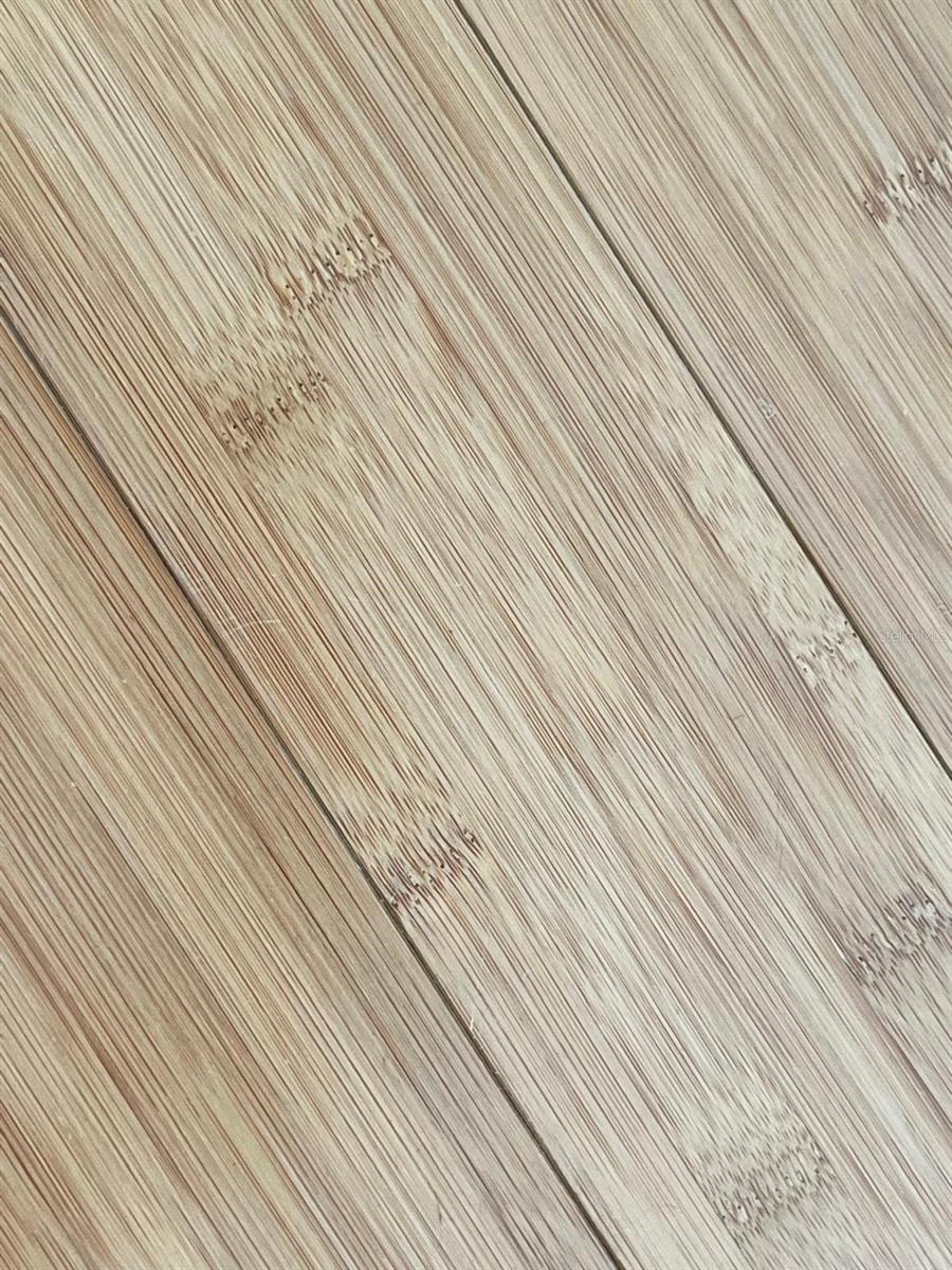 880 MANDALAY AVE #N109, CLEARWATER BEACH, FL, 33767