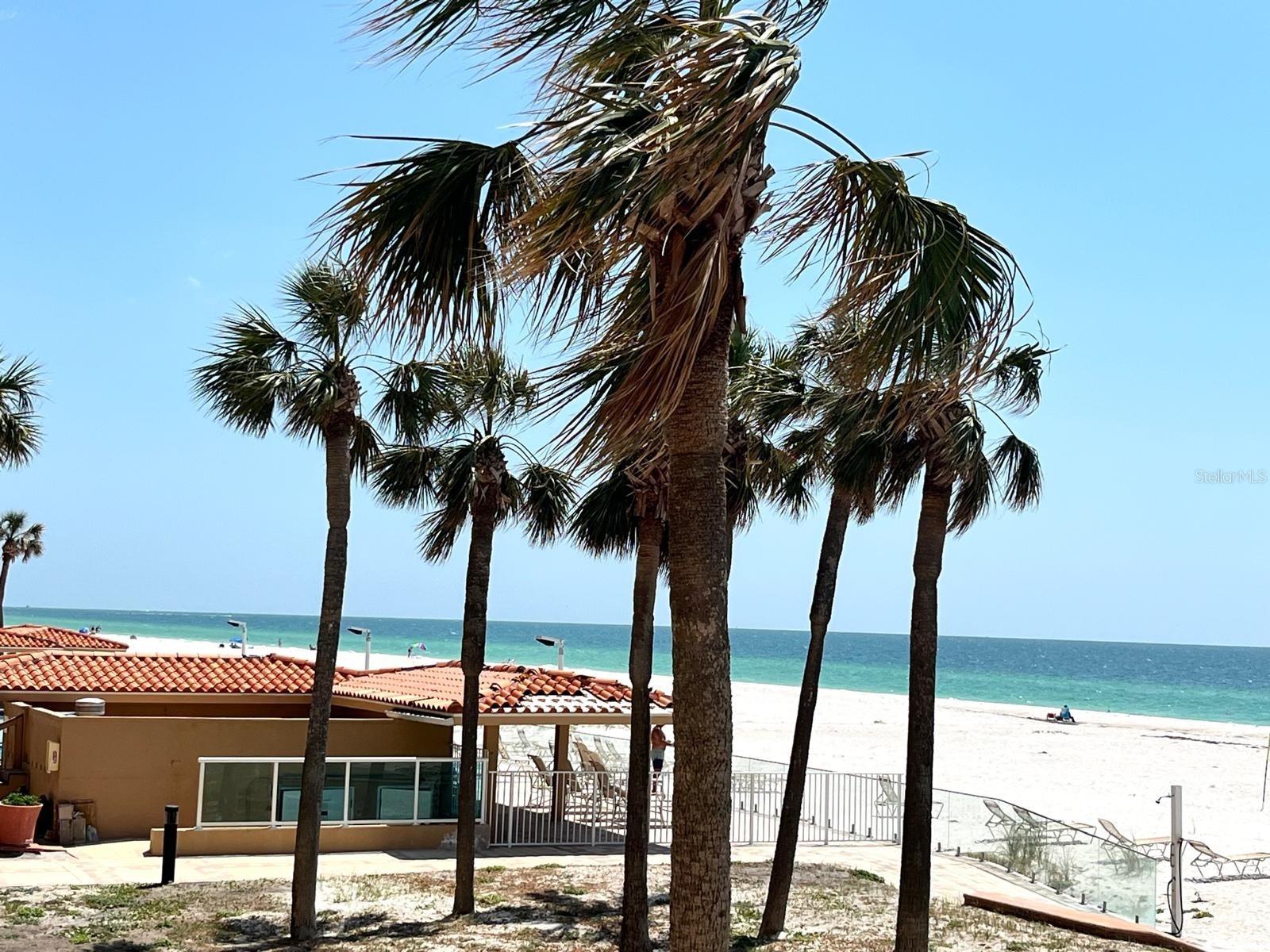 880 MANDALAY AVE #N109, CLEARWATER BEACH, FL, 33767