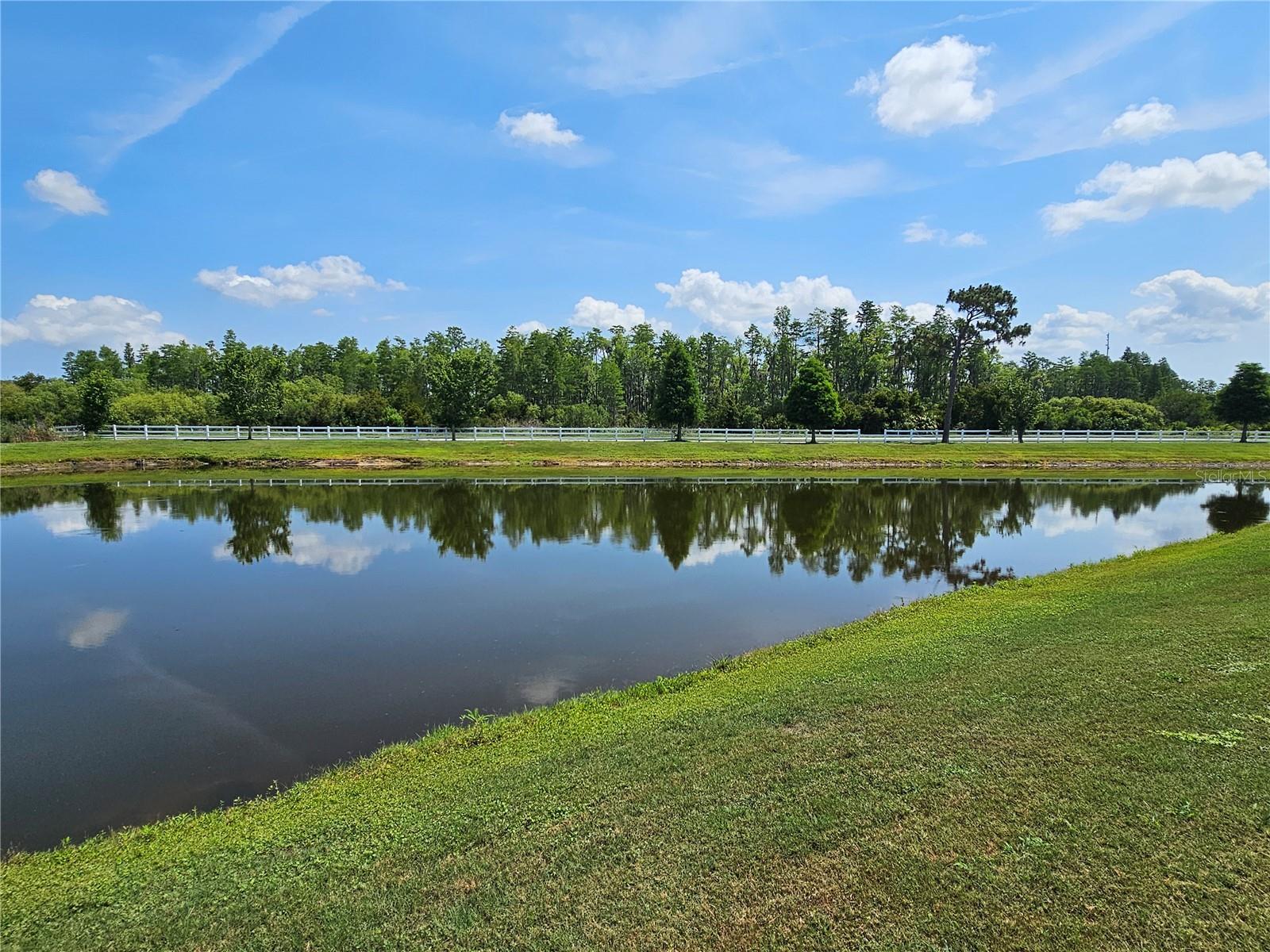 8595 PRAIRIE CREEK DR, NEW PORT RICHEY, FL, 34655