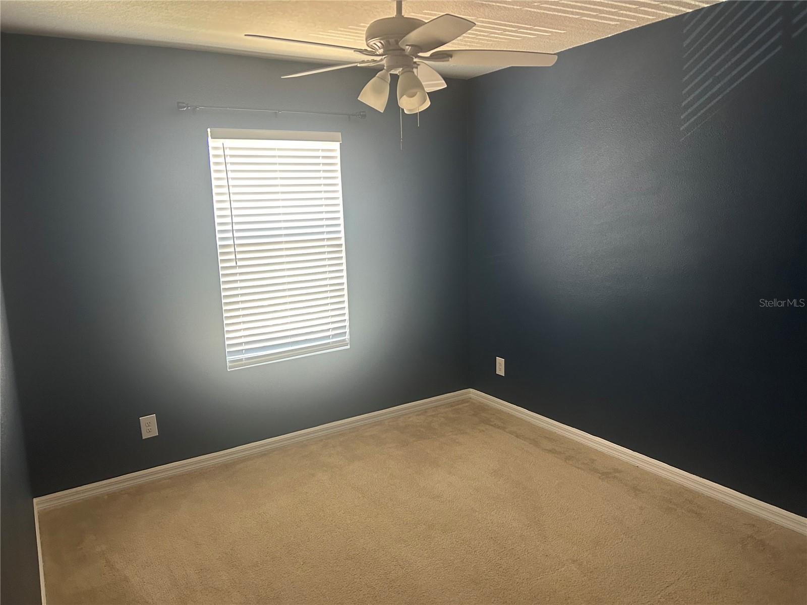 14428 DUNROBIN DR, WIMAUMA, FL, 33598