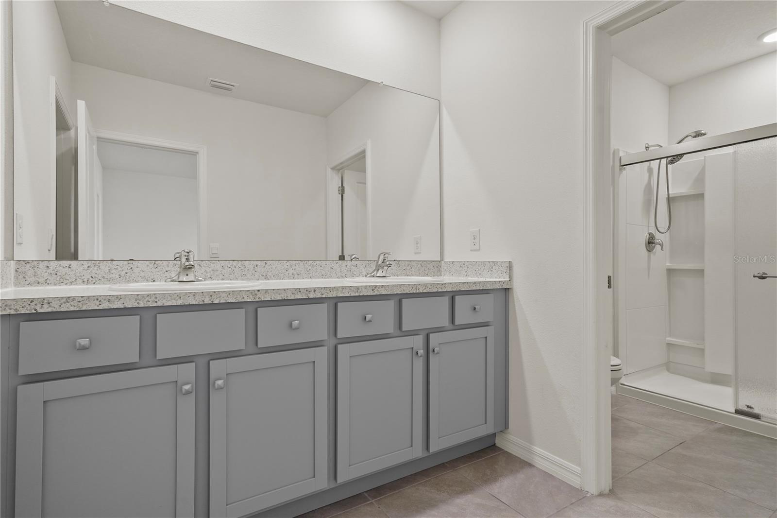 33055 TULIP PETAL LN, WESLEY CHAPEL, FL, 33545