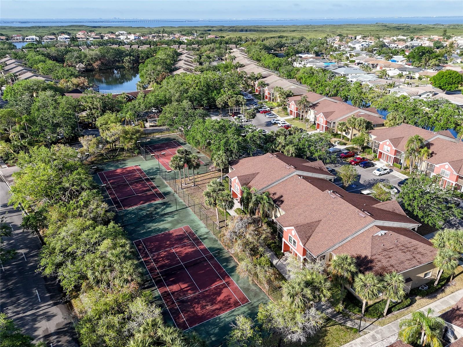 10509 WATERVIEW CT, TAMPA, FL, 33615