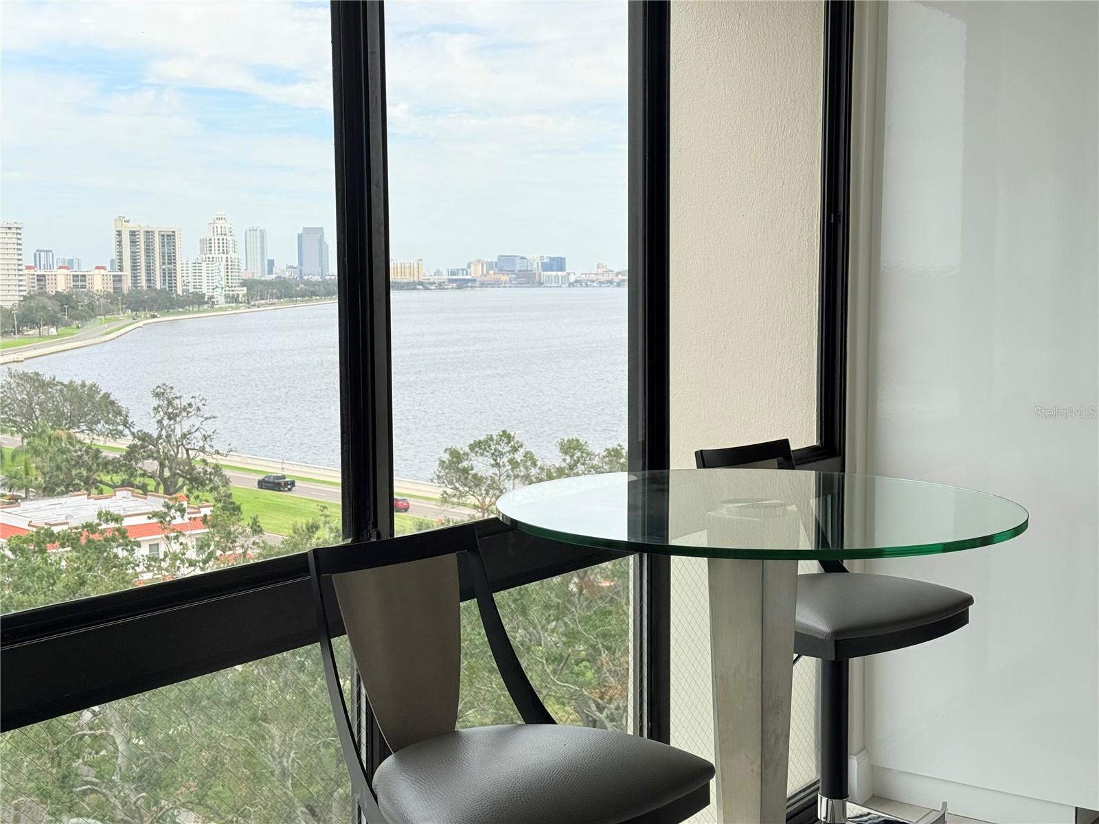 3301 BAYSHORE BLVD #1001E, TAMPA, FL, 33629