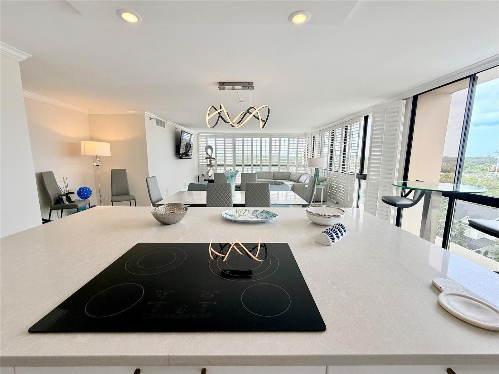 3301 BAYSHORE BLVD #1001E, TAMPA, FL, 33629