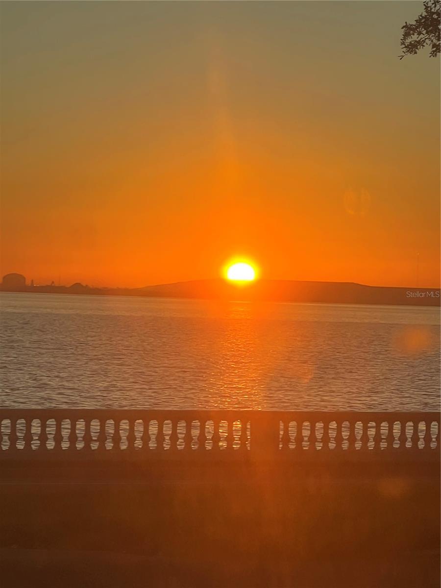 3301 BAYSHORE BLVD #1001E, TAMPA, FL, 33629