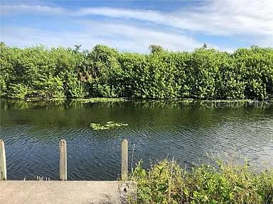 339 NE 19TH TER, CAPE CORAL, FL, 33909