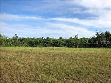 339 NE 19TH TER, CAPE CORAL, FL, 33909