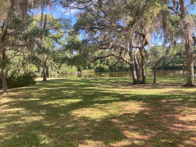 1050 WEXFORD LEAS BLVD, PALM HARBOR, FL, 34683