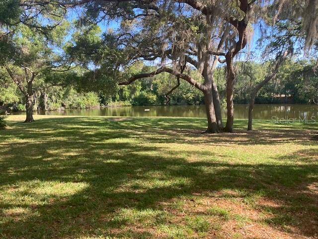 1050 WEXFORD LEAS BLVD, PALM HARBOR, FL, 34683