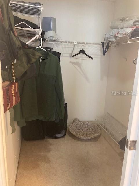 1050 WEXFORD LEAS BLVD, PALM HARBOR, FL, 34683