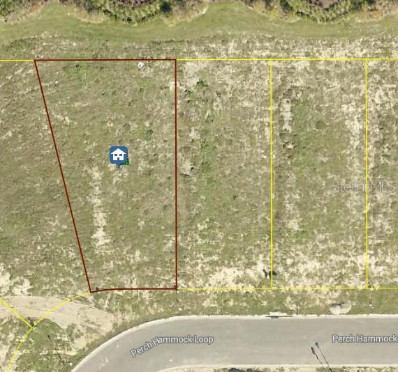 1880 PERCH HAMMOCK LOOP, GROVELAND, FL, 34736