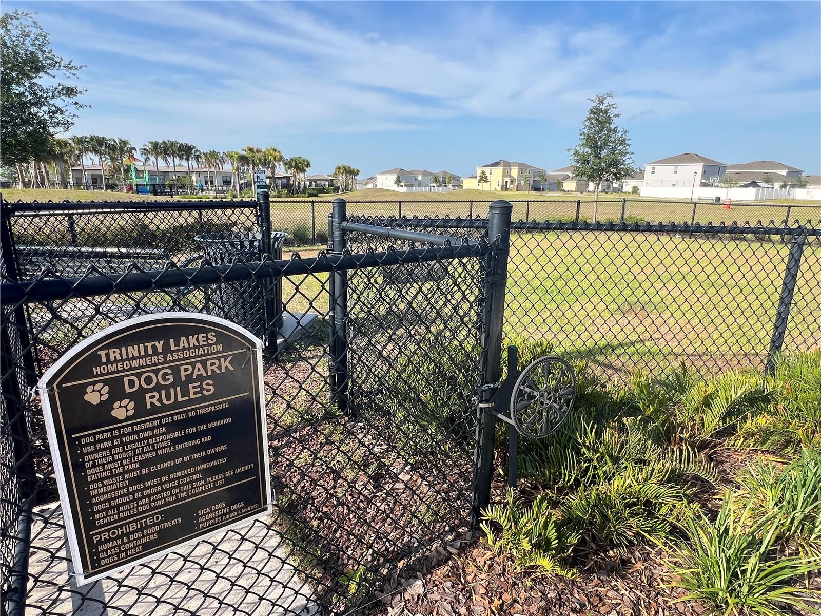 1880 PERCH HAMMOCK LOOP, GROVELAND, FL, 34736