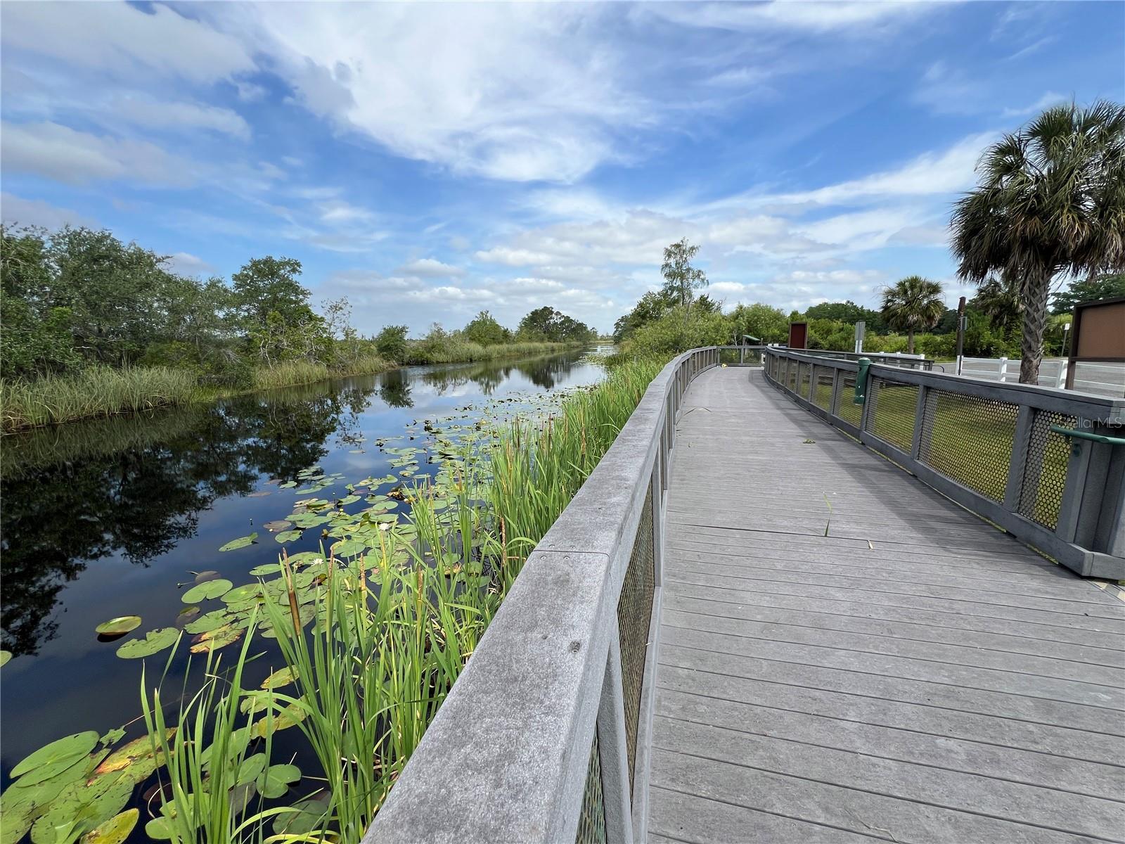 1880 PERCH HAMMOCK LOOP, GROVELAND, FL, 34736