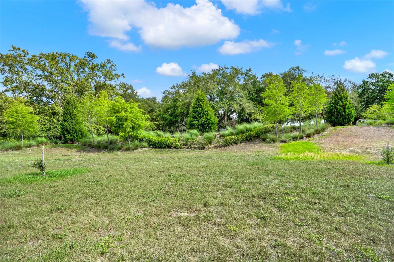 1880 PERCH HAMMOCK LOOP, GROVELAND, FL, 34736