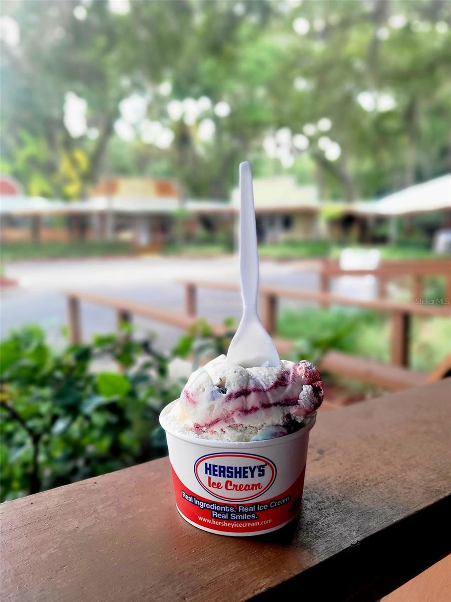 376 BEAR TRL, RIVER RANCH, FL, 33867