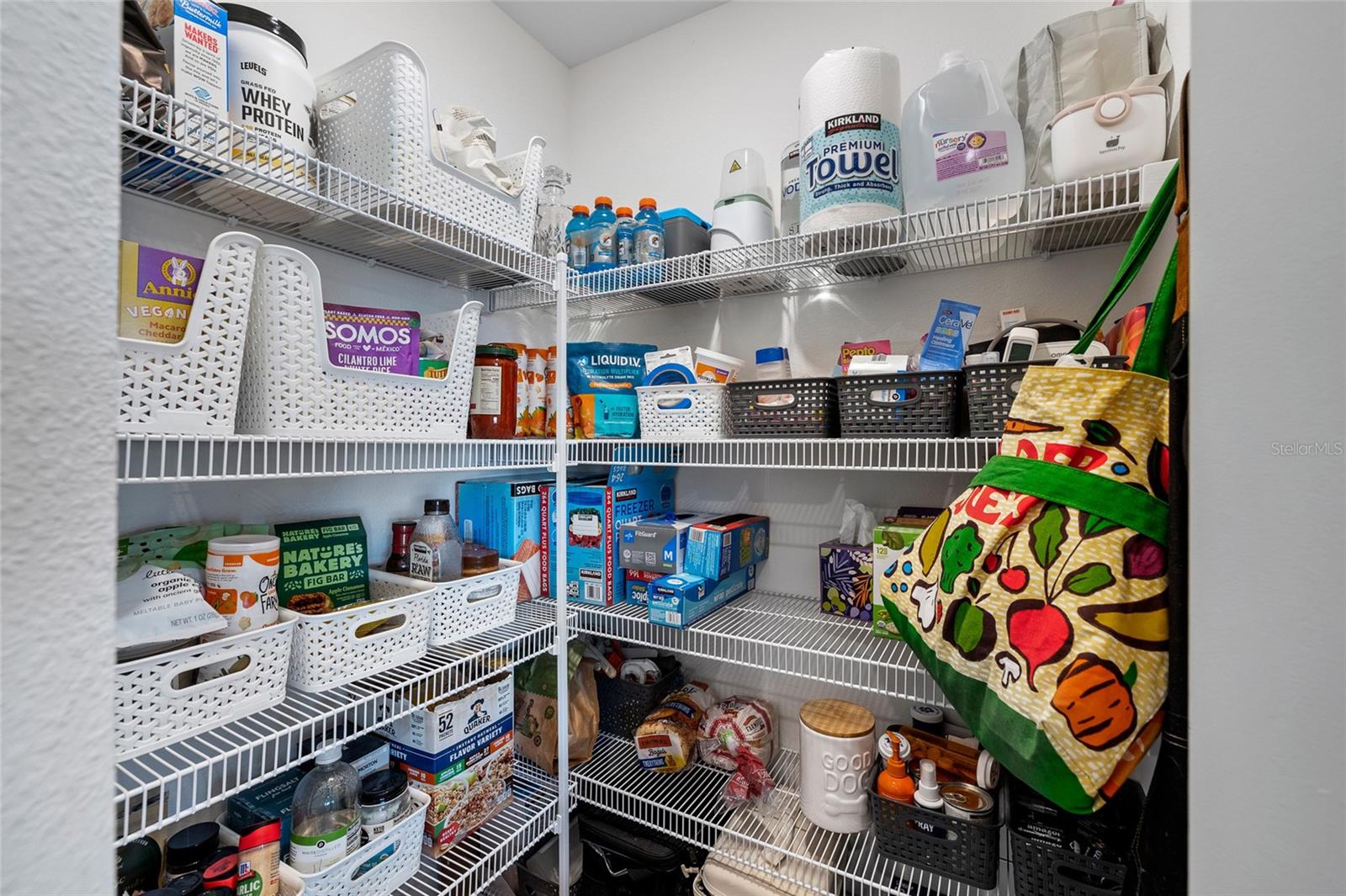 5208 DANDELION ST, APOLLO BEACH, FL, 33572