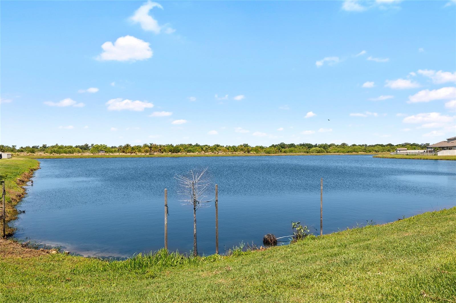 5208 DANDELION ST, APOLLO BEACH, FL, 33572