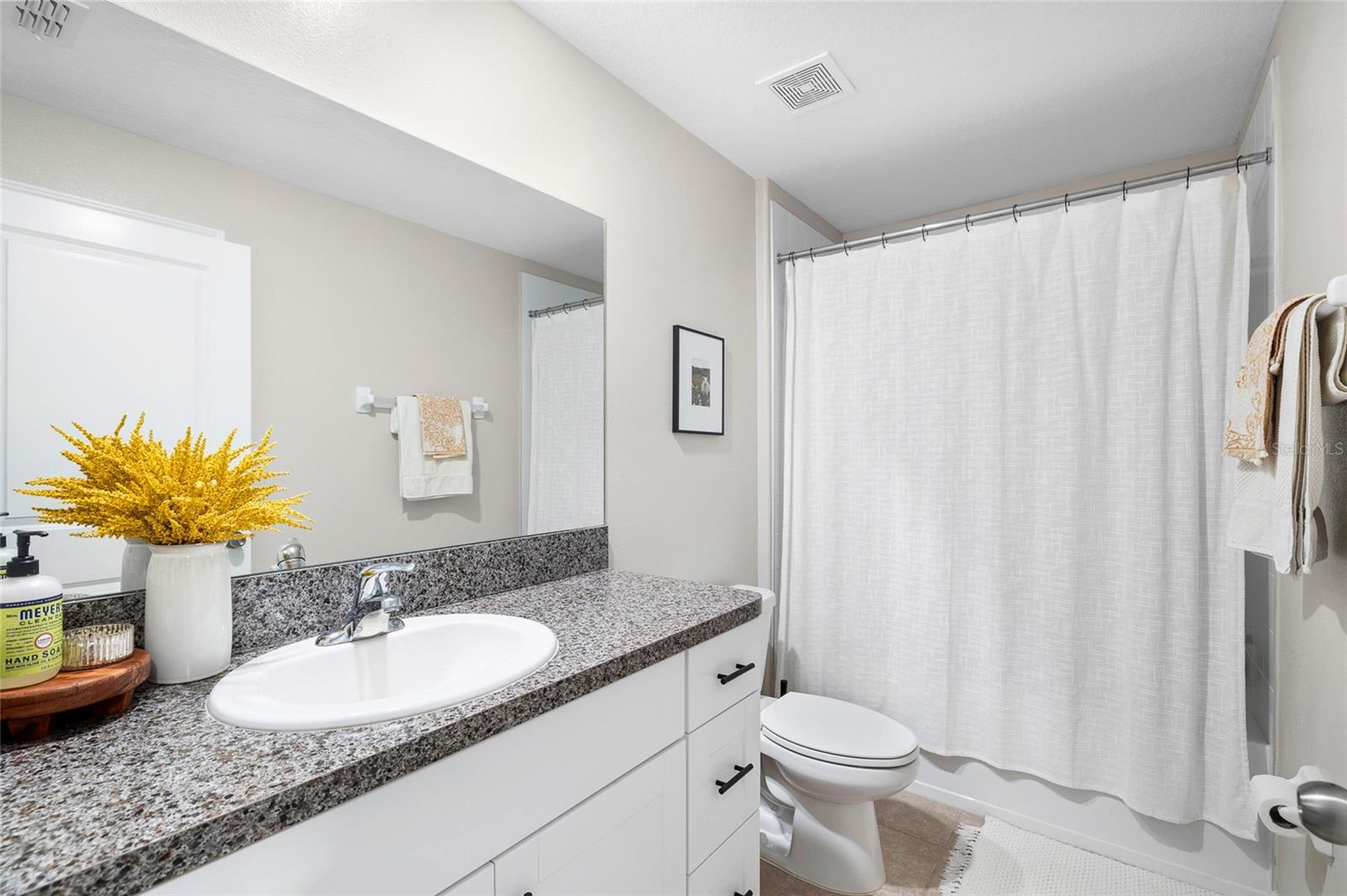 5208 DANDELION ST, APOLLO BEACH, FL, 33572