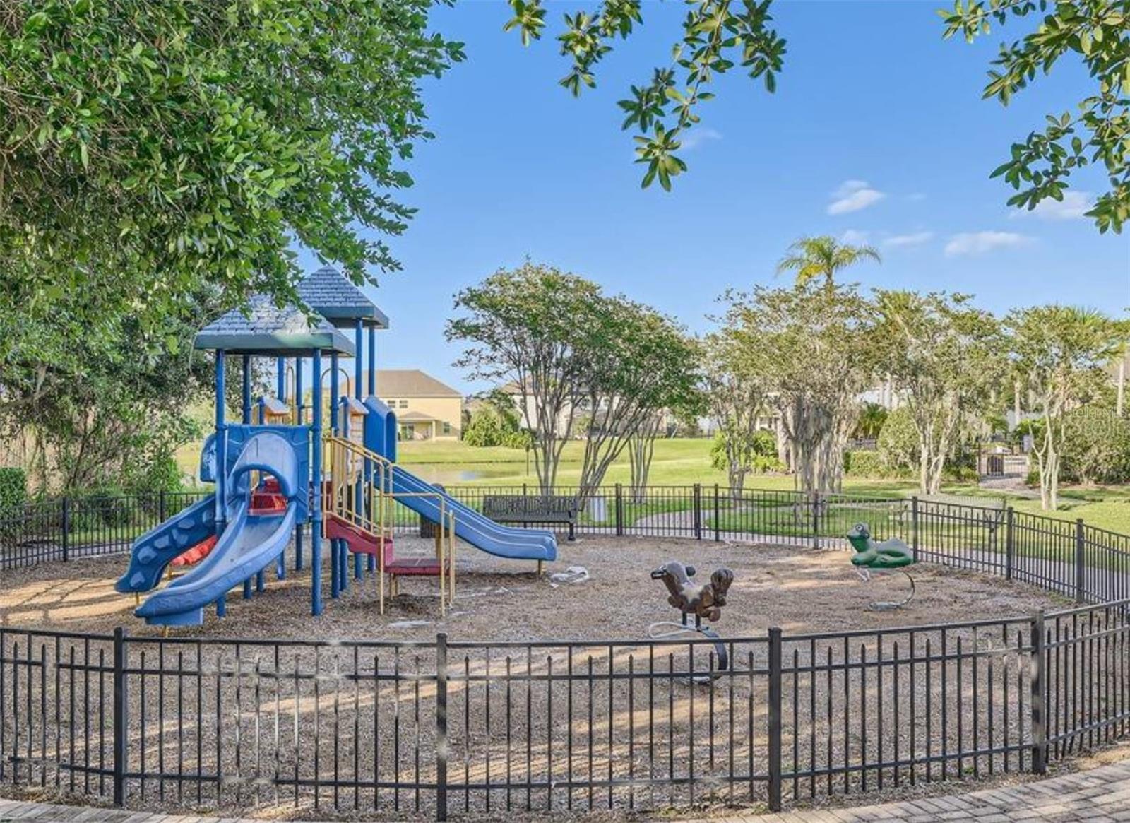 15242 HERON HIDEAWAY CIR, WINTER GARDEN, FL, 34787