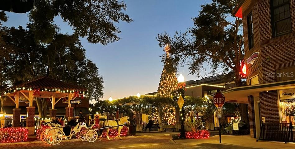 15242 HERON HIDEAWAY CIR, WINTER GARDEN, FL, 34787