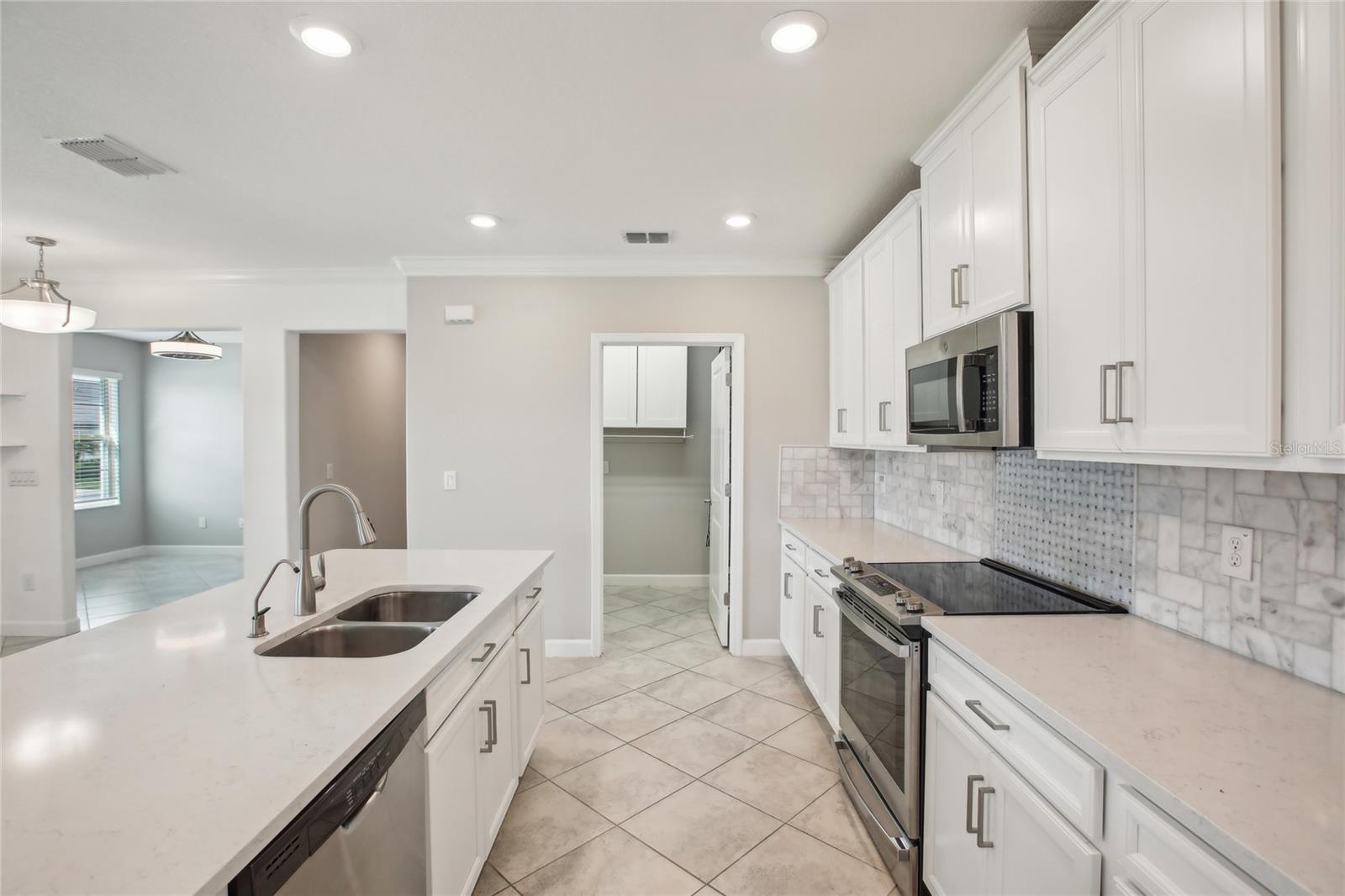 10420 ECHO DOCK LOOP, SAN ANTONIO, FL, 33576