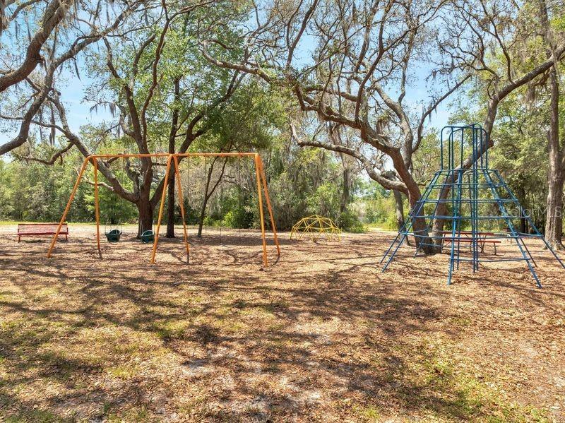 1240 PIN OAK DR, APOPKA, FL, 32703