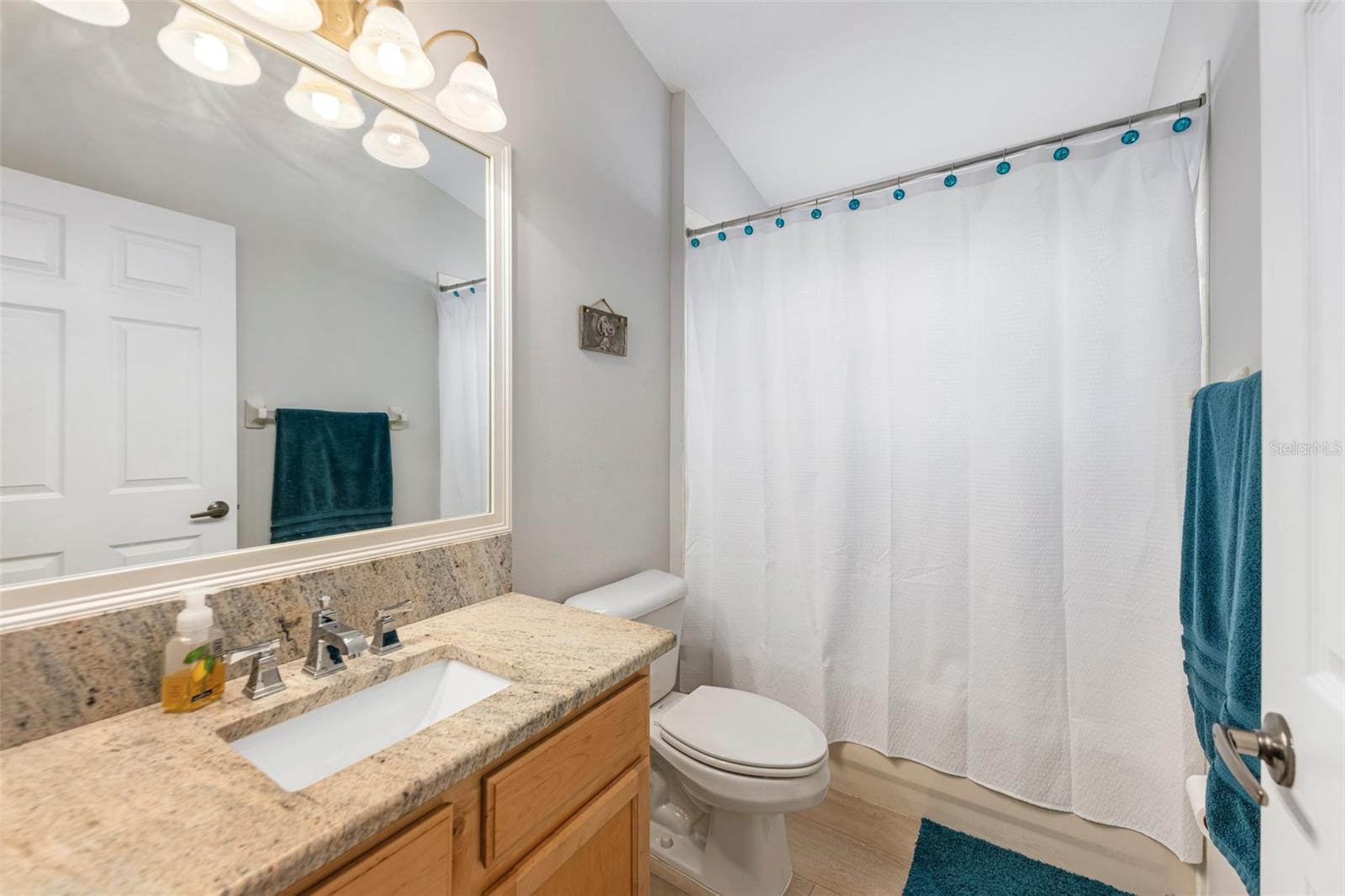 2402 BLUE STONE CT, VALRICO, FL, 33594