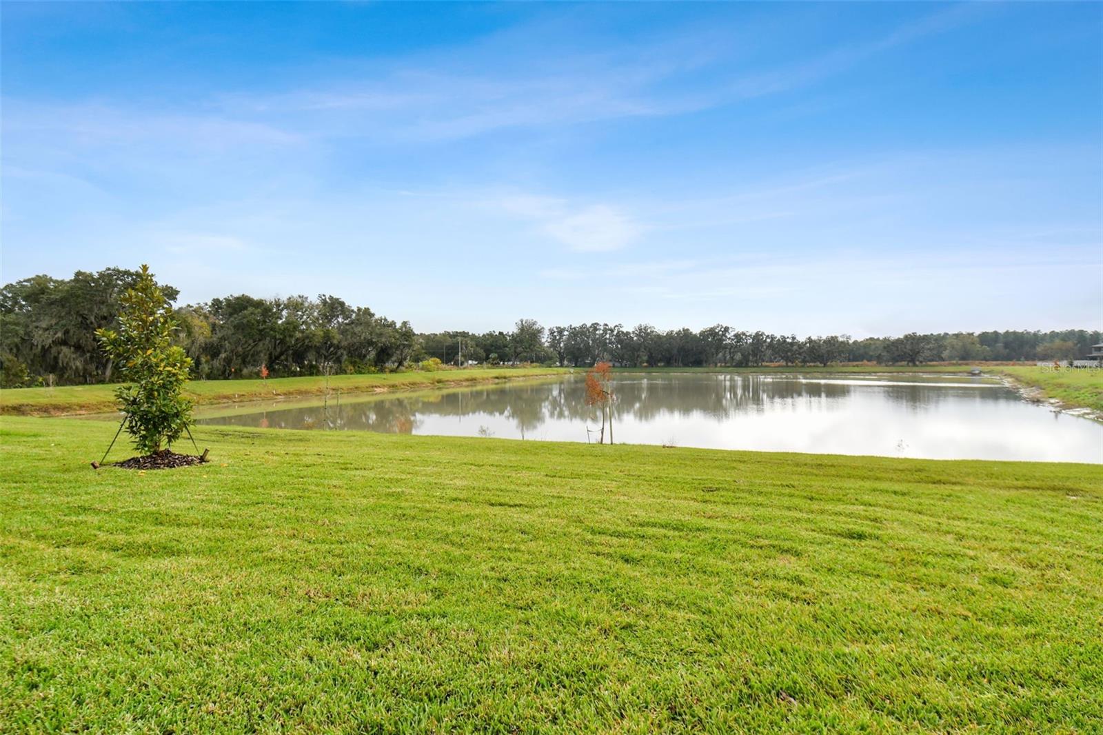 38190 SHALE STONE CT, ZEPHYRHILLS, FL, 33540