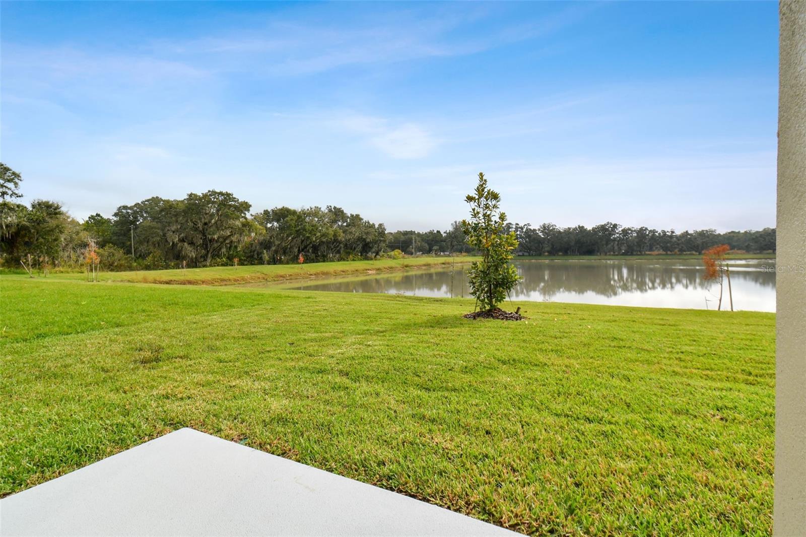 38190 SHALE STONE CT, ZEPHYRHILLS, FL, 33540