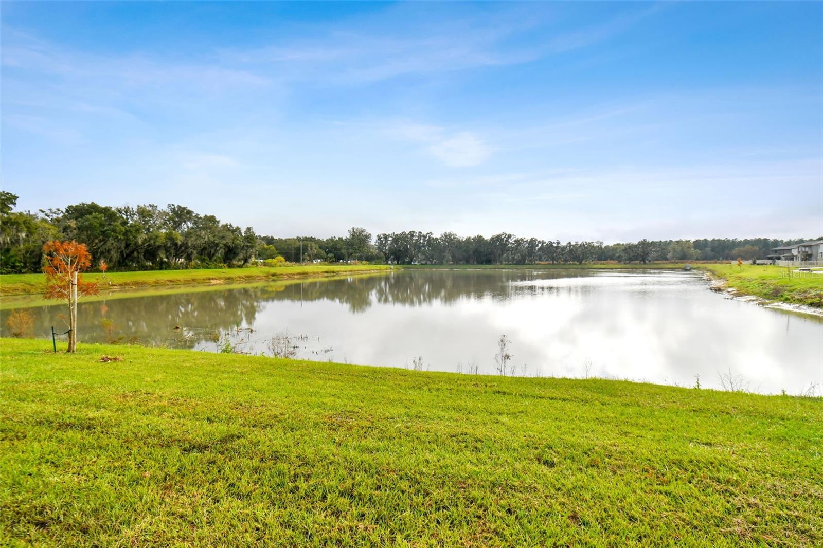 38190 SHALE STONE CT, ZEPHYRHILLS, FL, 33540