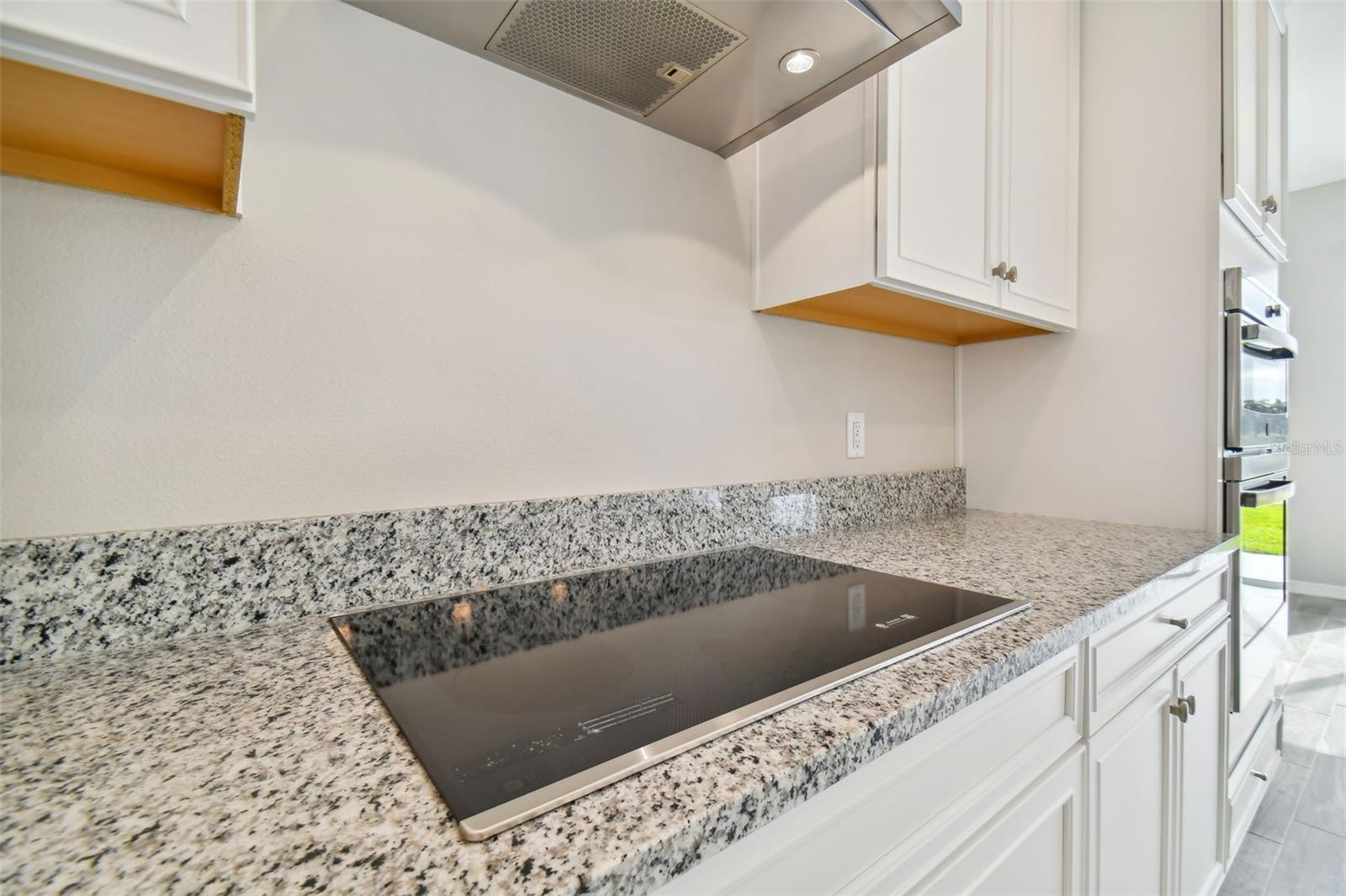 38190 SHALE STONE CT, ZEPHYRHILLS, FL, 33540