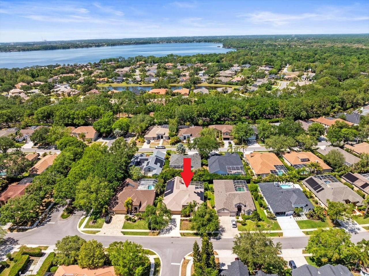 5216 KERNWOOD CT, PALM HARBOR, FL, 34685