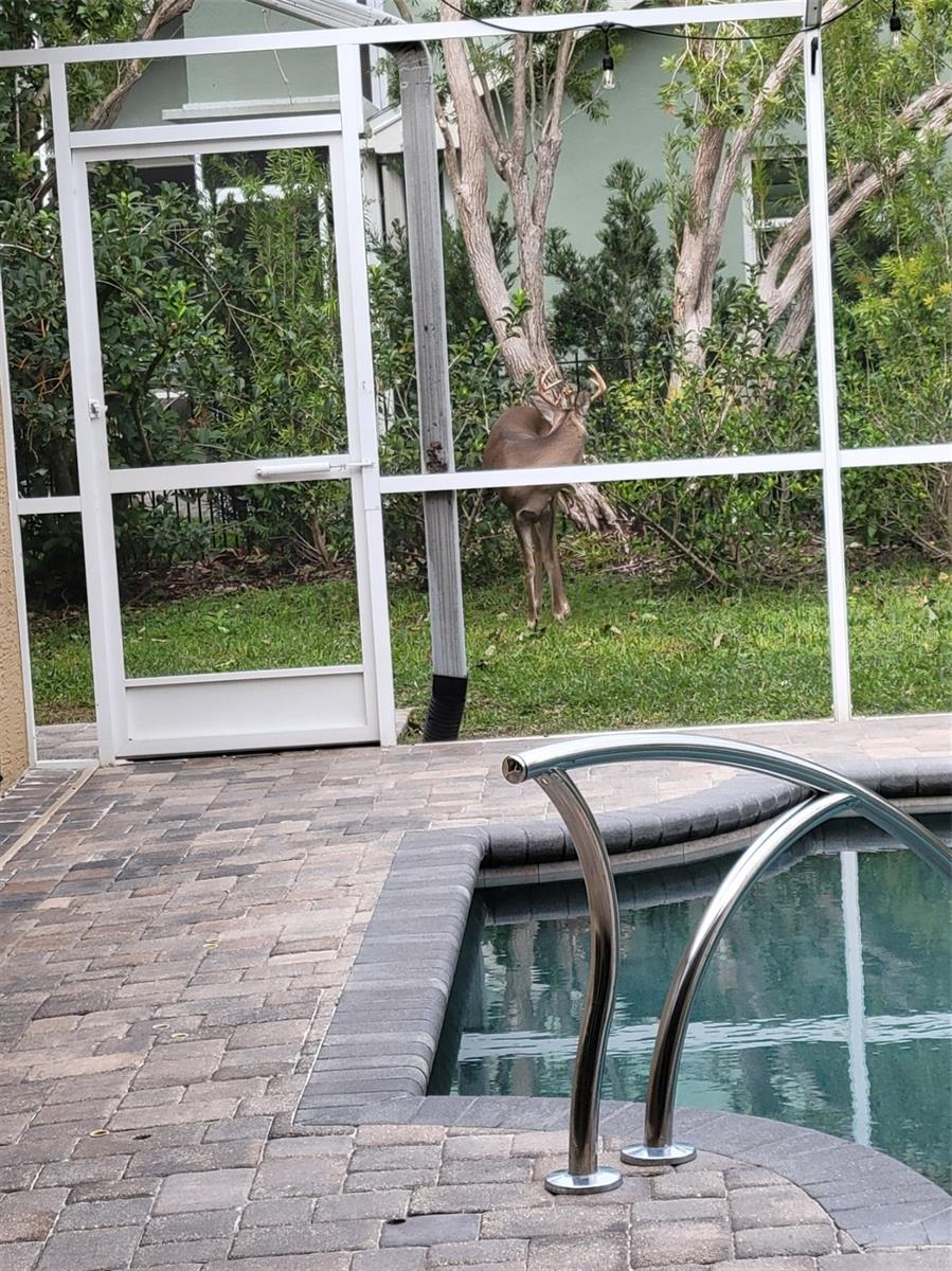 5216 KERNWOOD CT, PALM HARBOR, FL, 34685