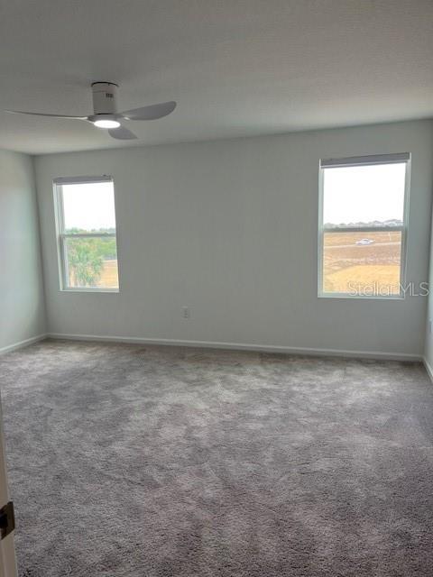 2504 PEONY PL, HAINES CITY, FL, 33844