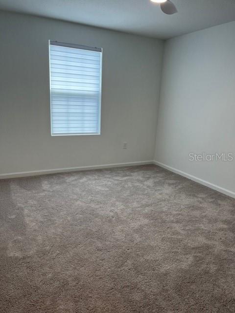 2504 PEONY PL, HAINES CITY, FL, 33844